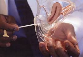 best test tube baby center pathankot