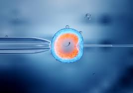 ivf center in jalandhar