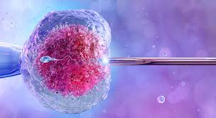 best ivf center in jalandhar