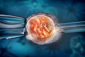best ivf center jalandhar